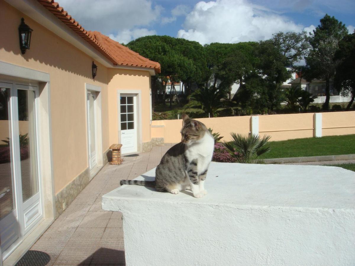 Casa De Hospedes Flor Do Jardim - Housity