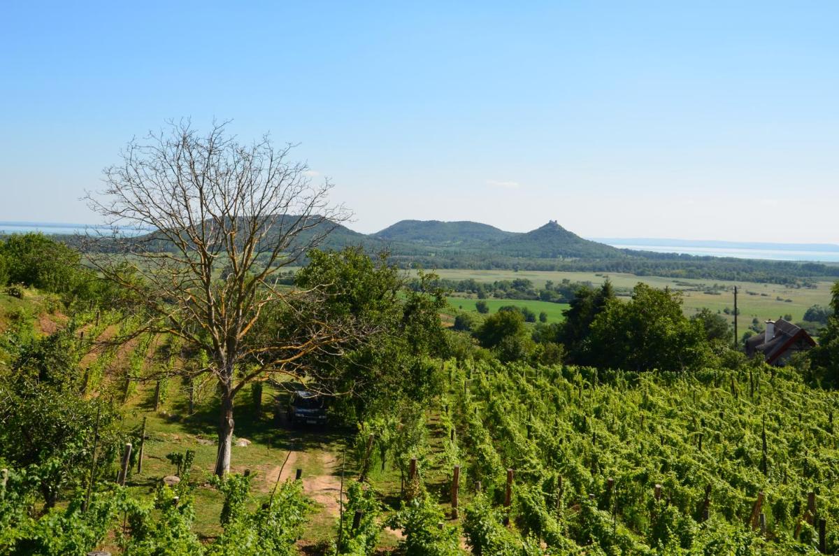 Grand Cru 3. Vendégház - Housity