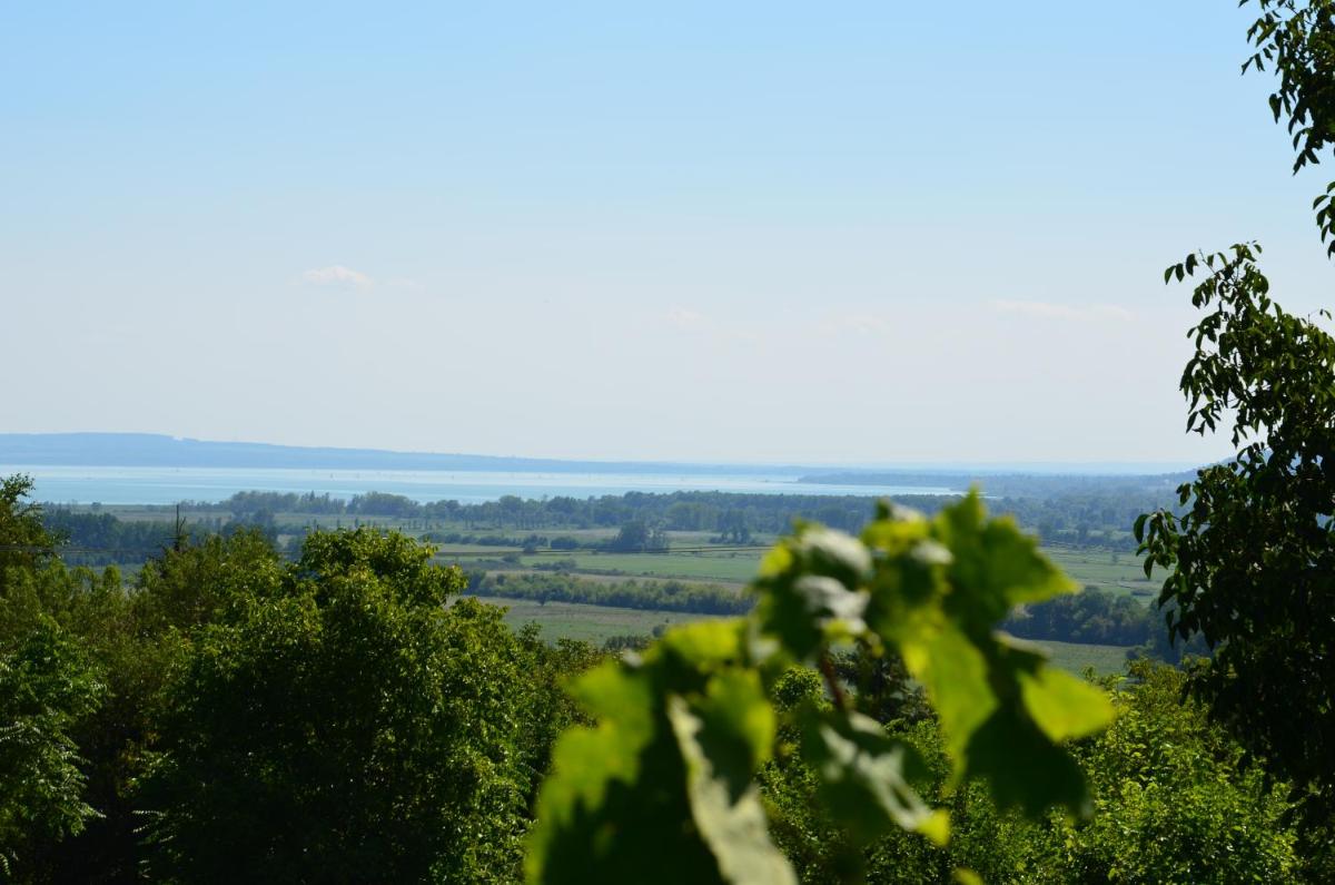 Grand Cru 3. Vendégház - Housity