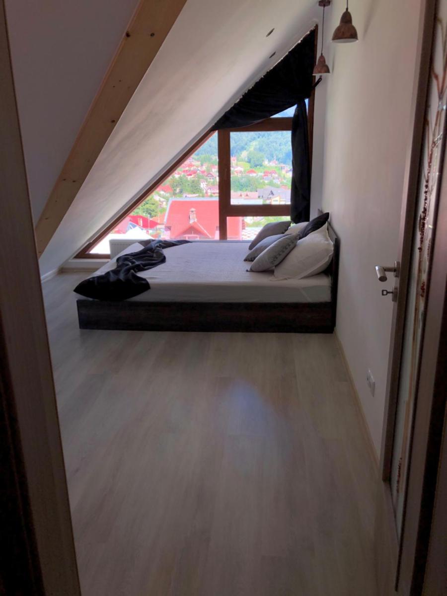 Apartament Andy Busteni 30 m de partie - Housity