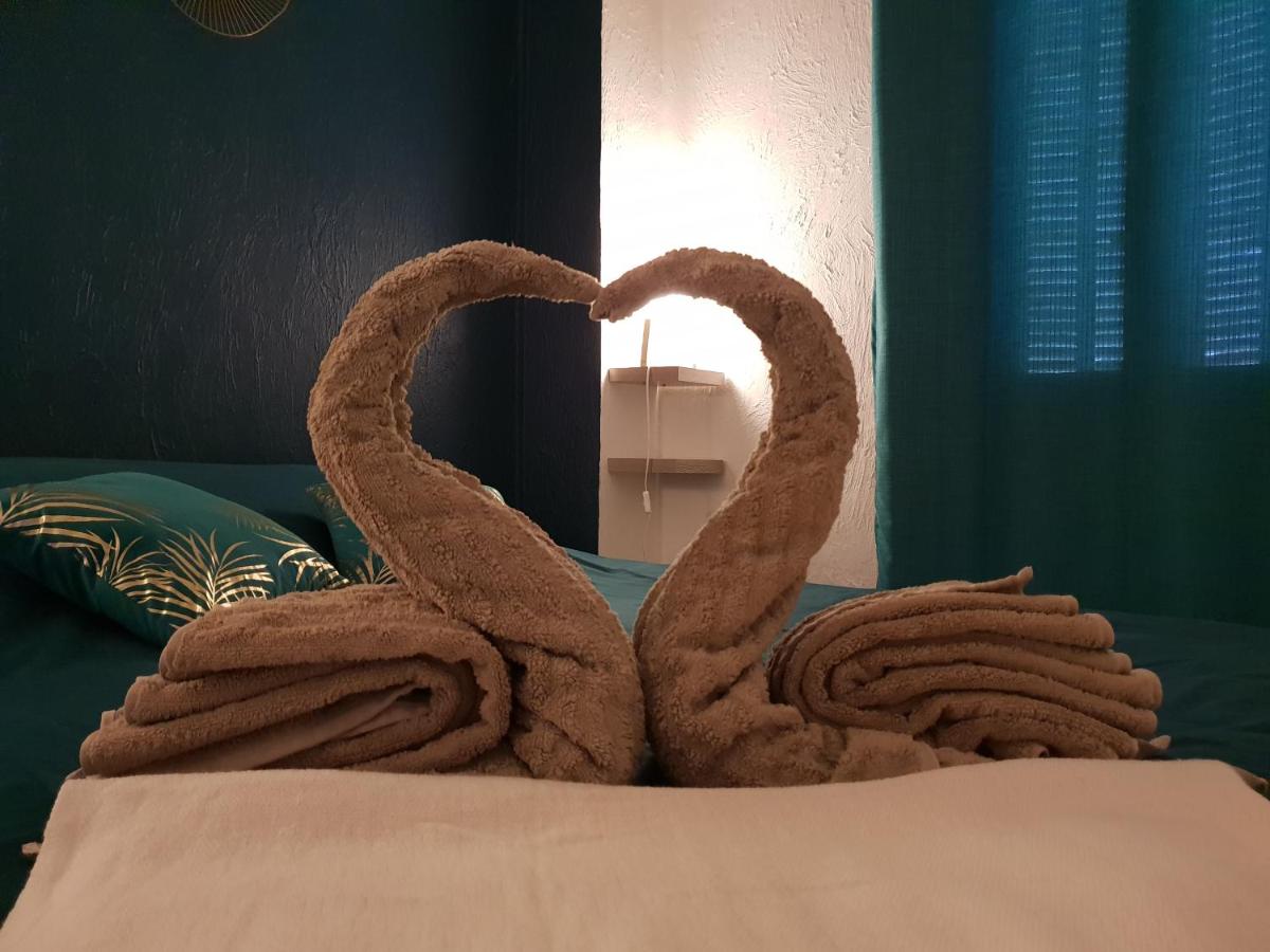 Appartement climatisé les Mimosas - Housity