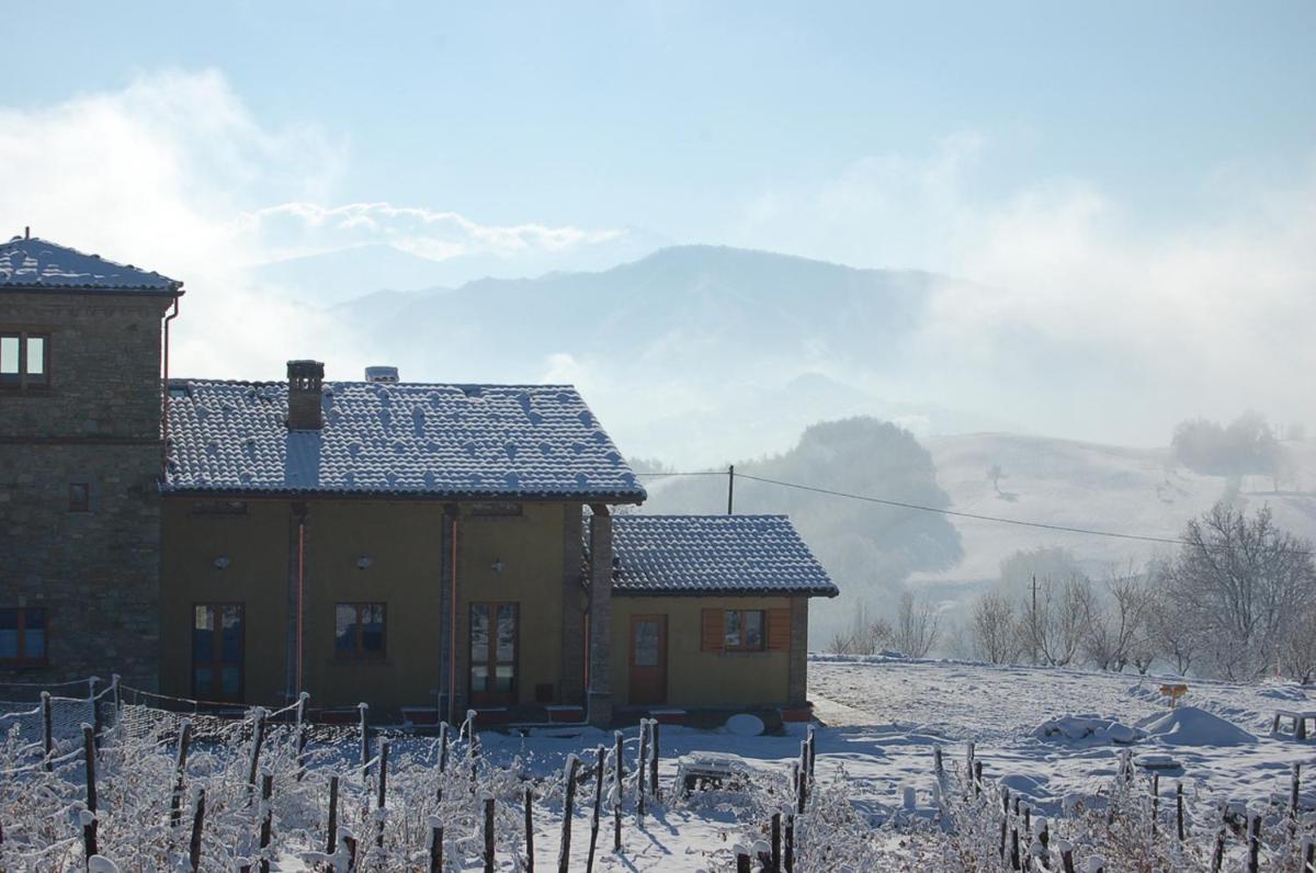 Agriturismo Il Filare - Housity