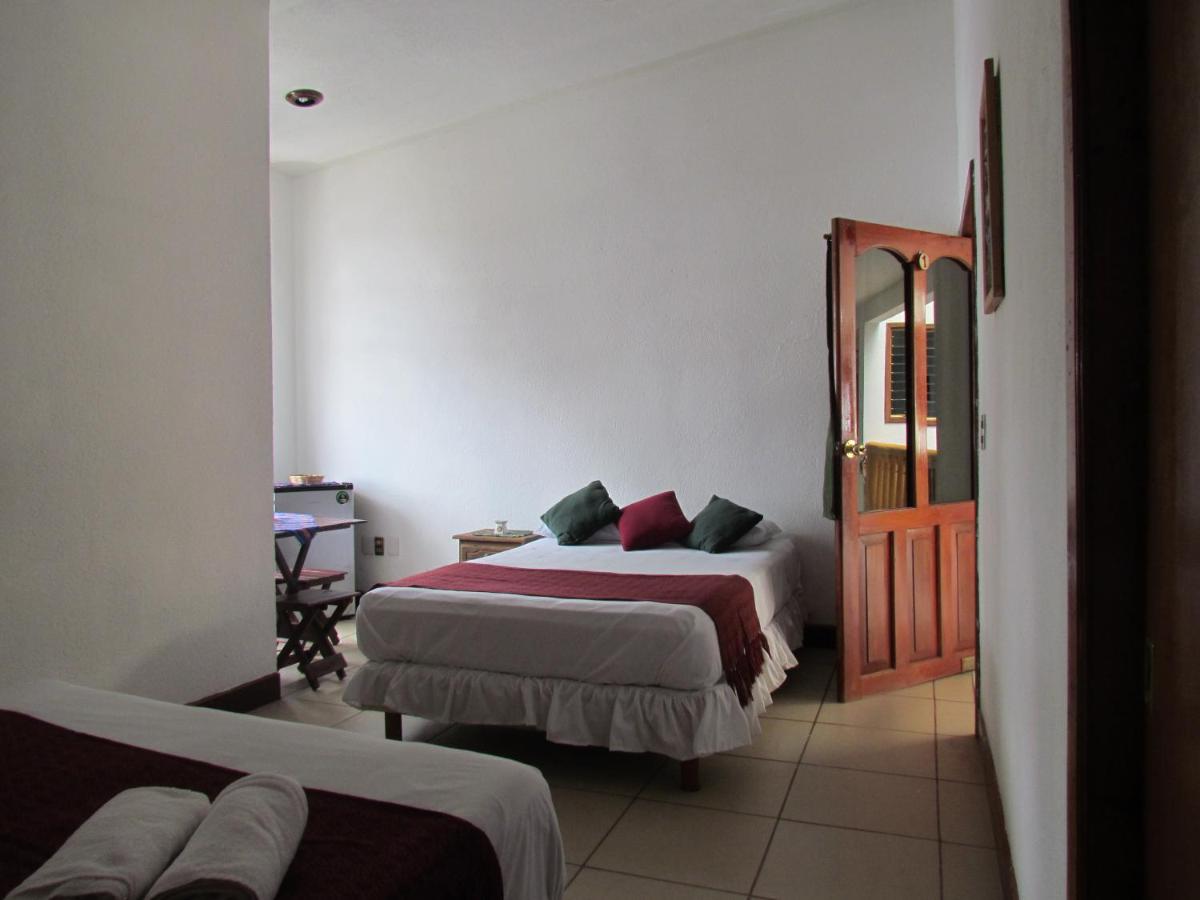 Casa Natura - Housity