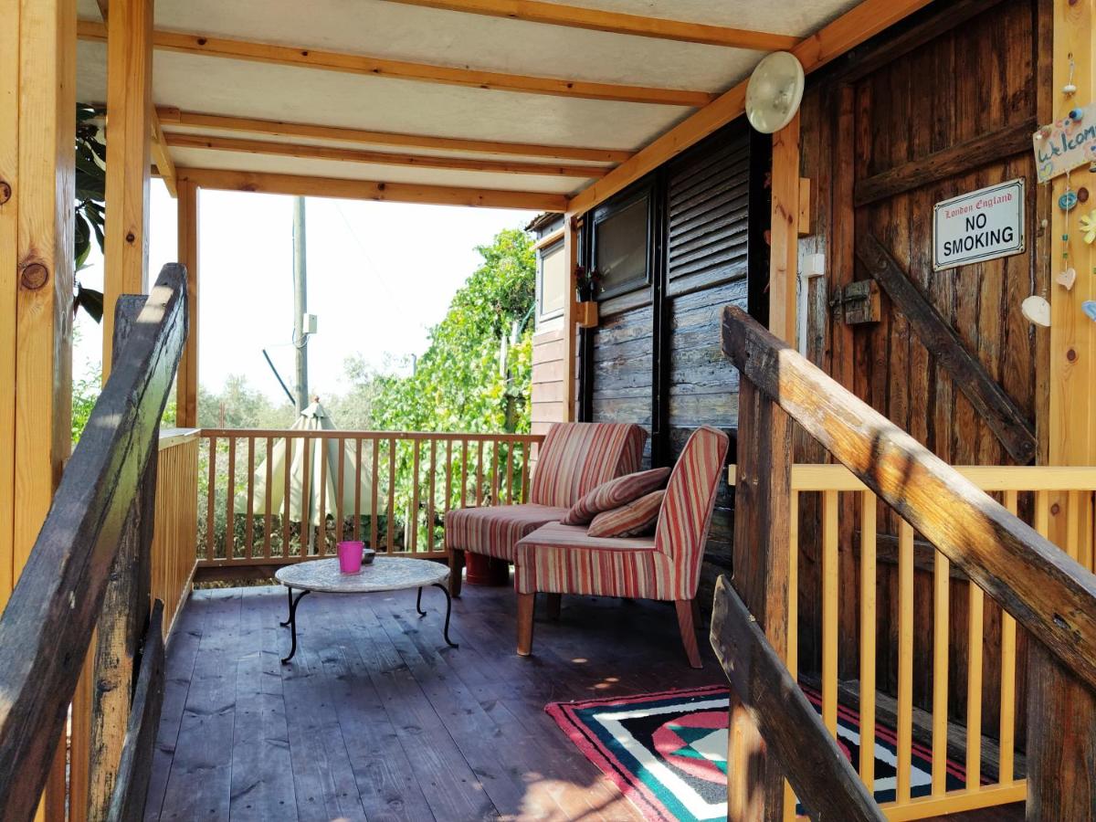 Galilee Bedouin Camplodge - Housity