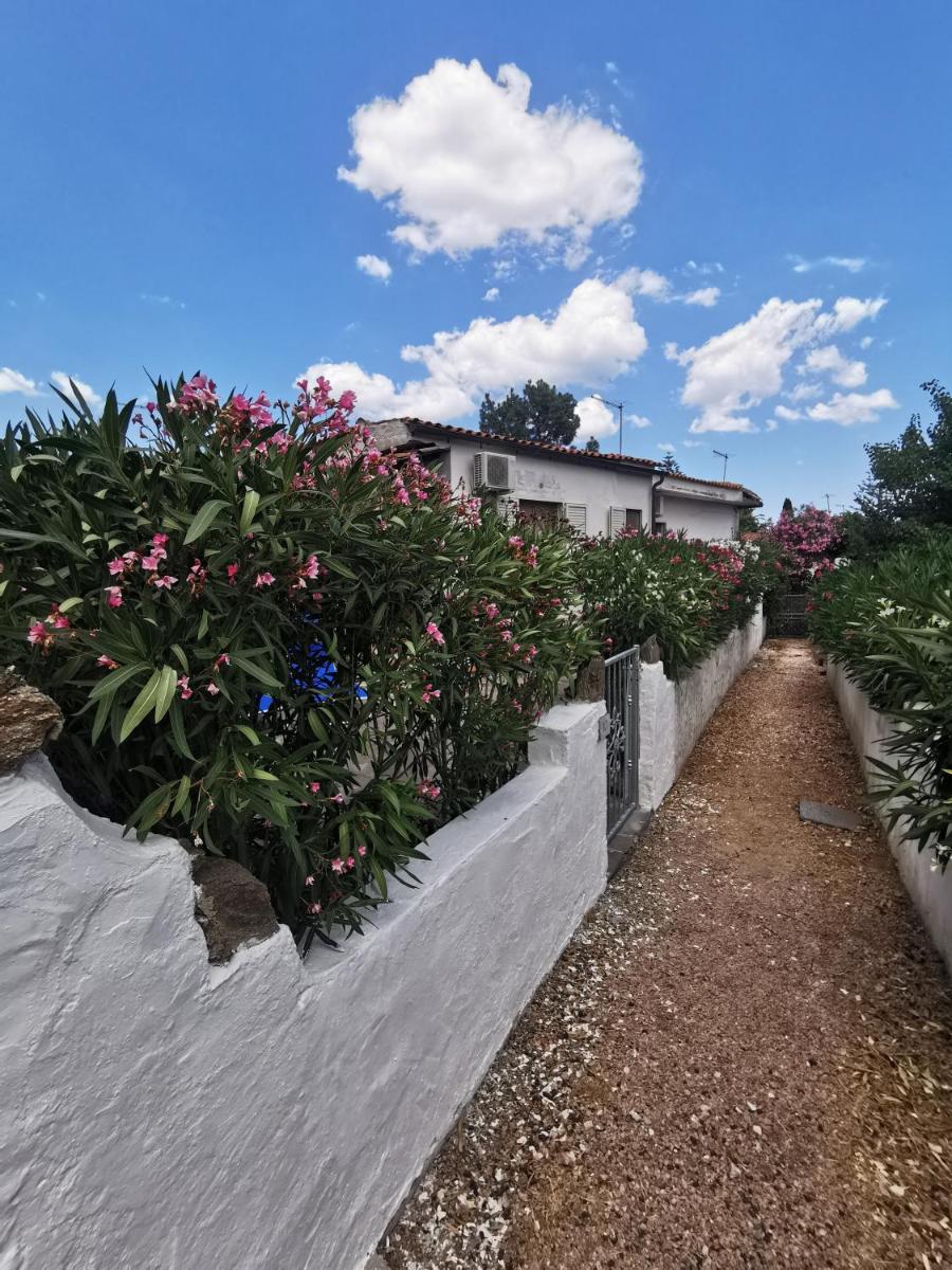 Casa Ichnos - Housity