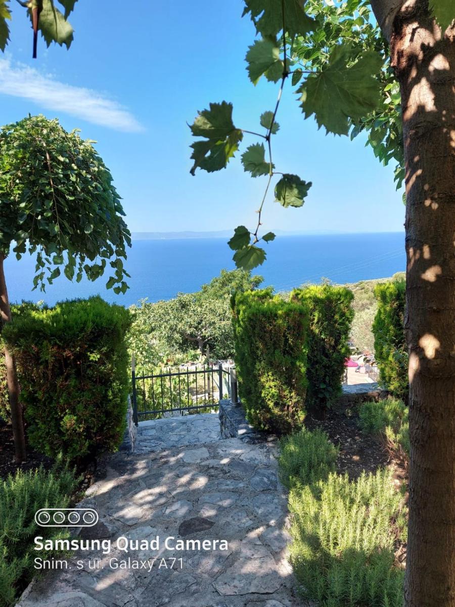 Villa Marija Podgora - Housity