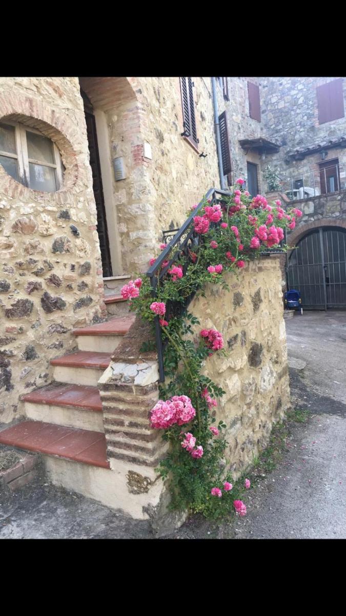 Rosa di Maggio - Housity