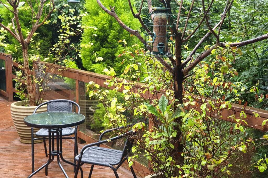 Relaxing secluded lodge couples getaway with hot tub - Housity