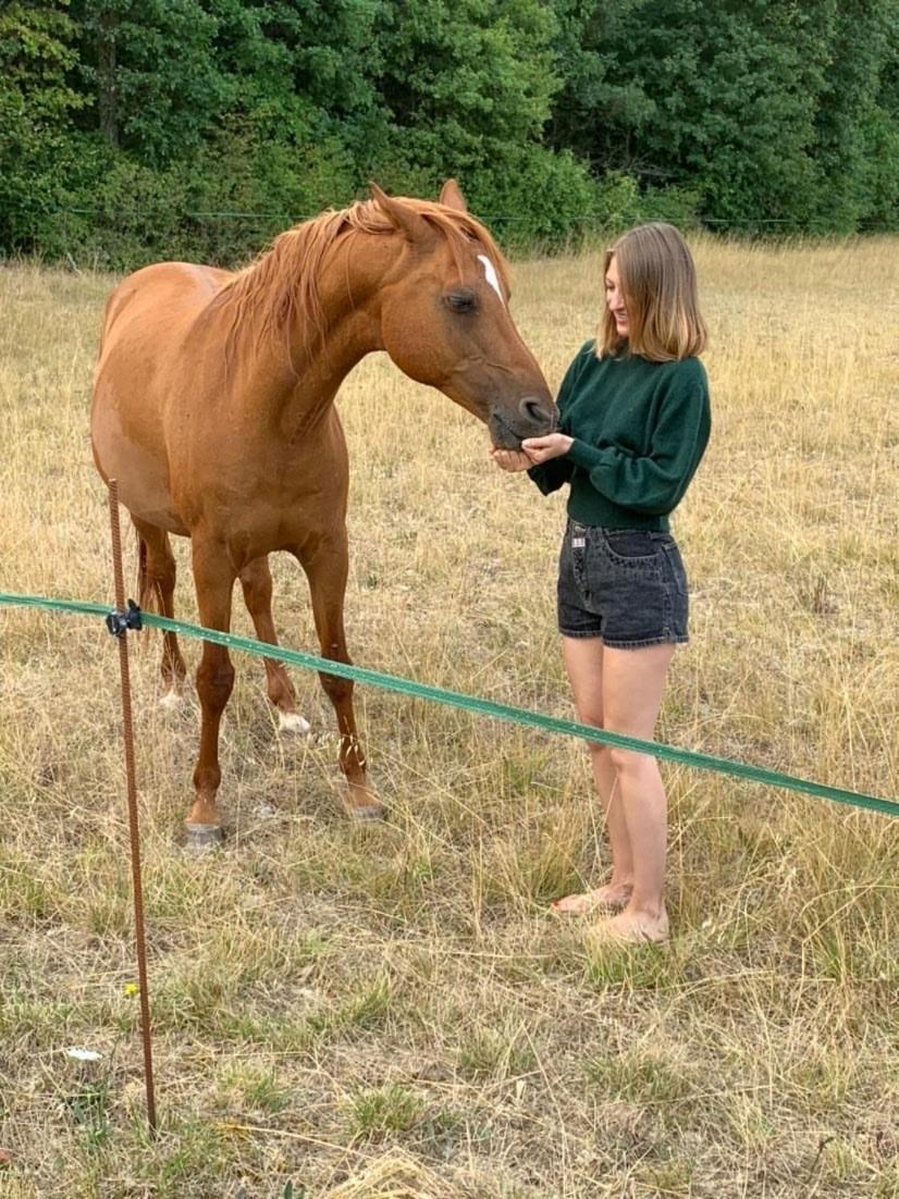Auberge de la Tuilerie - Housity