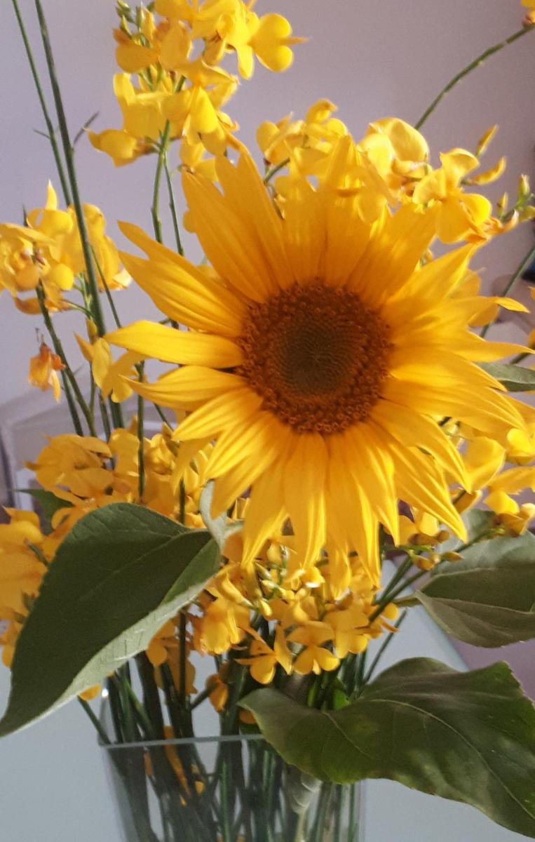 Il Girasole del Lago - Housity