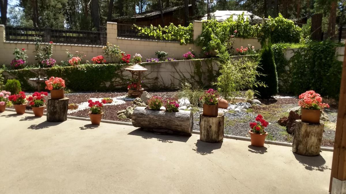 Jardín al aire libre en Hotel Rural El Nido de Pinares