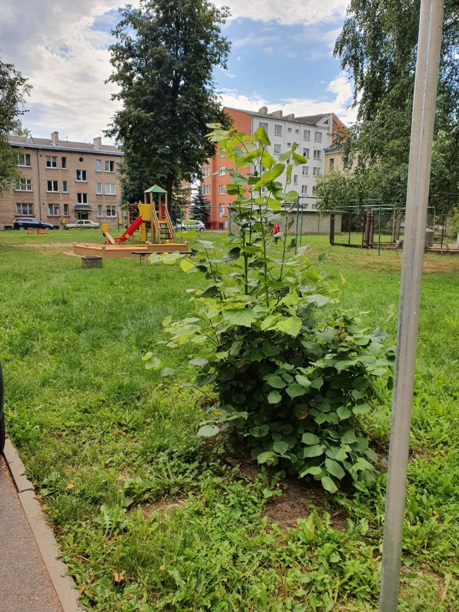 Apartament Erfolg 6 - Housity