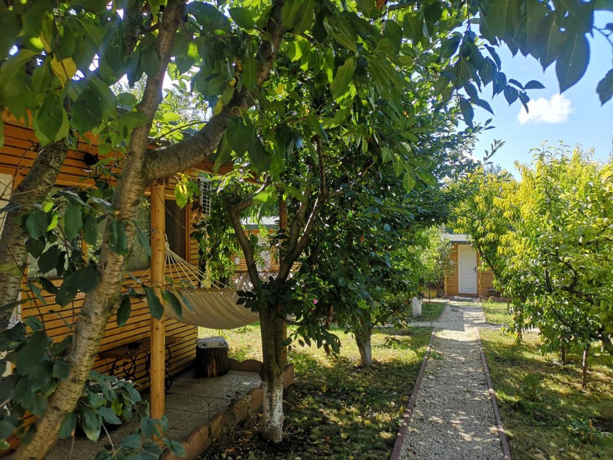 Relax Eaza - Casa cu Hamac - Housity