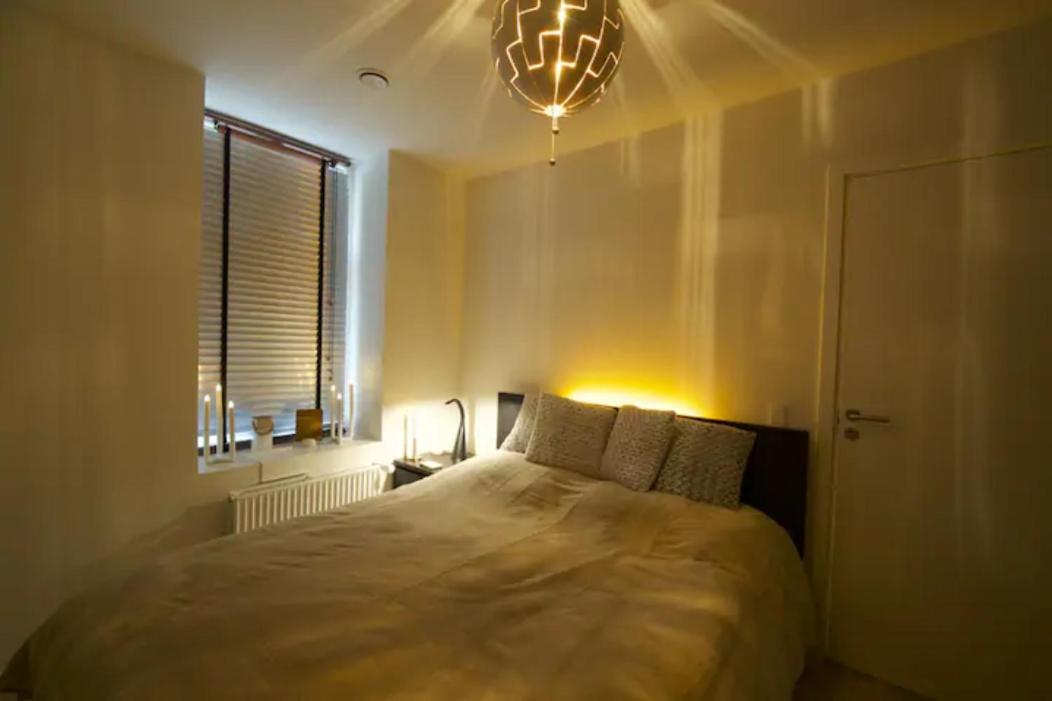 Cozy and silent ground floor apartment - Housity