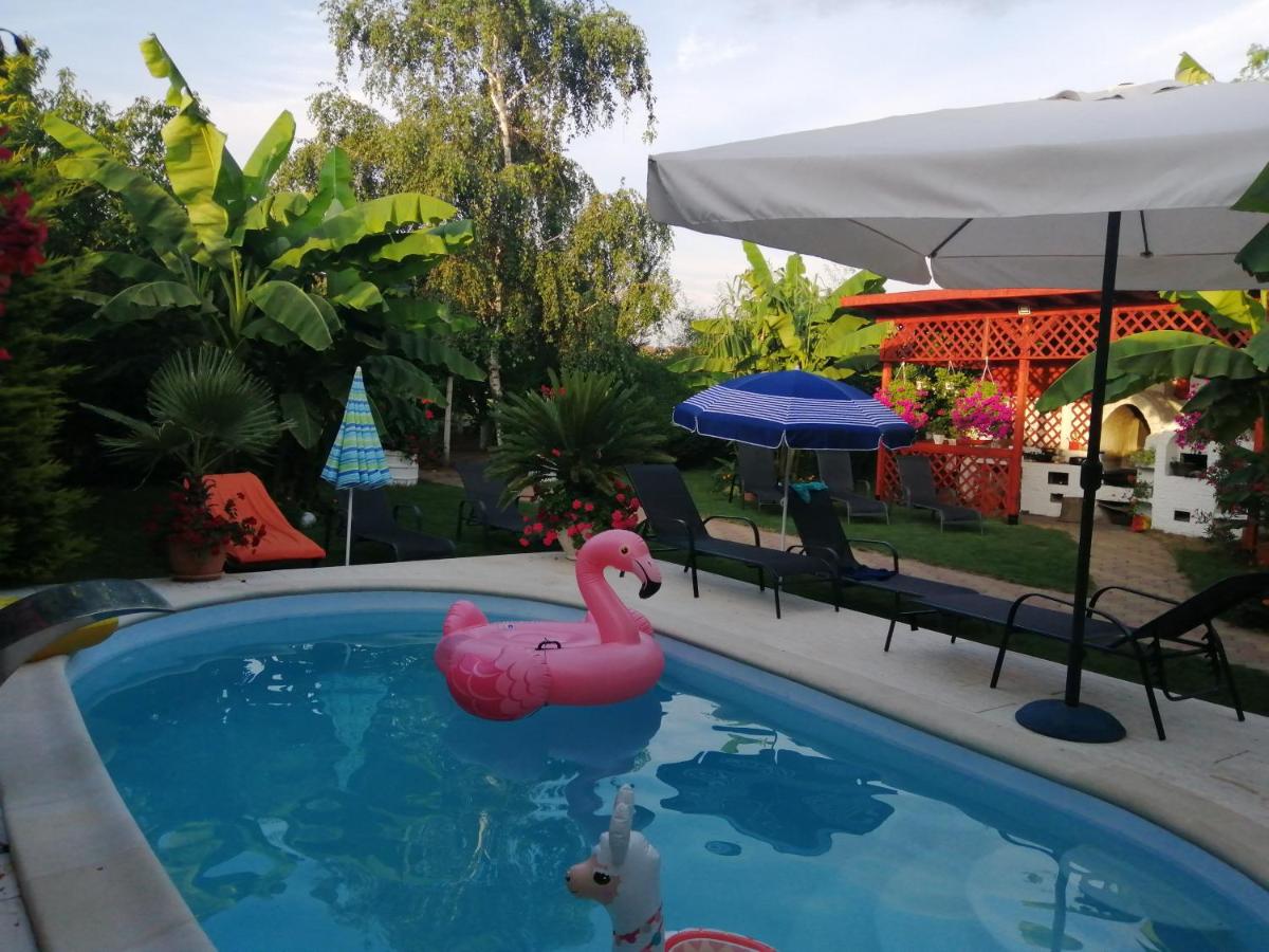 Casa Mona - Housity