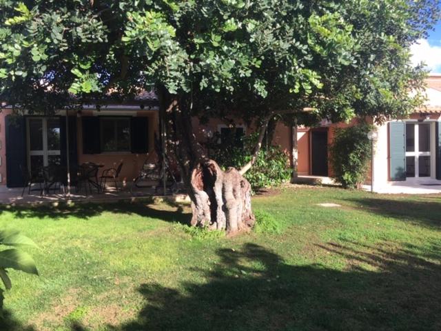 Karrua House - Housity
