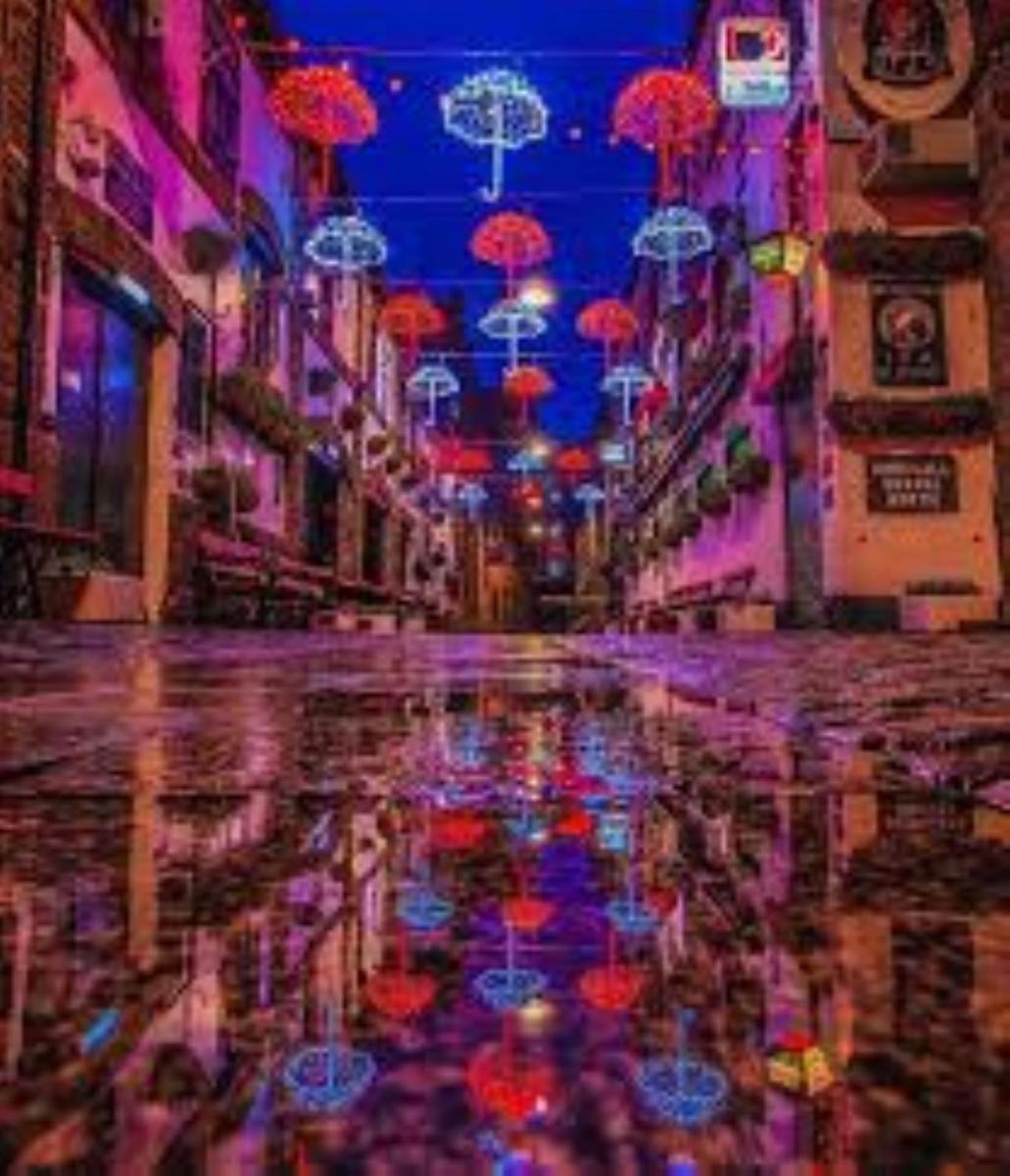 Lagan Backpackers - Housity