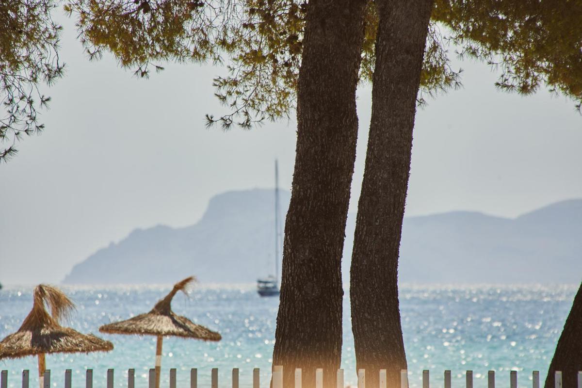 Paisaje cerca de este hotel