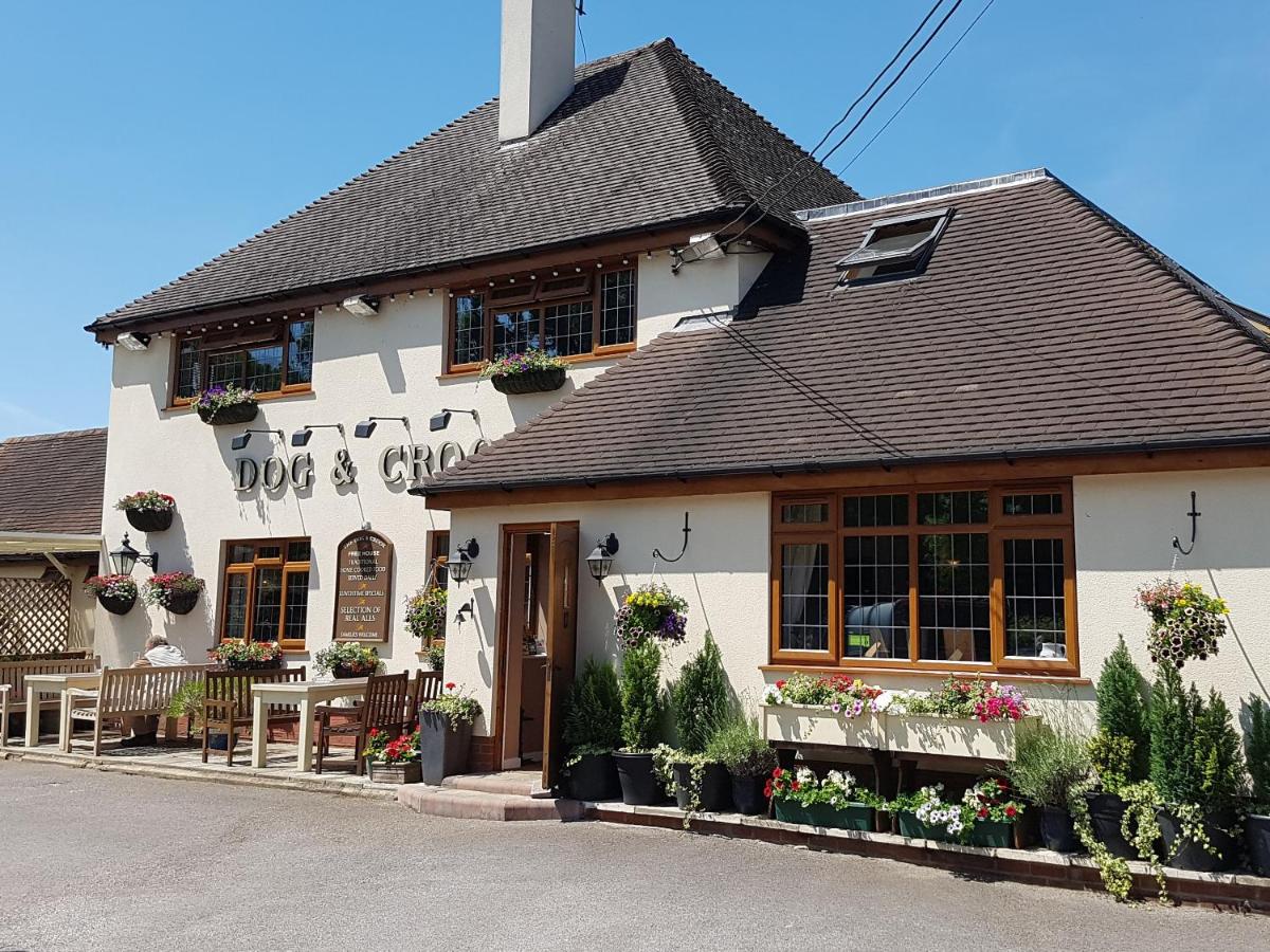 The Dog & Crook - Housity