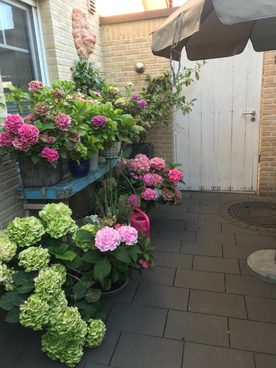Apartment Klatenberg - Housity
