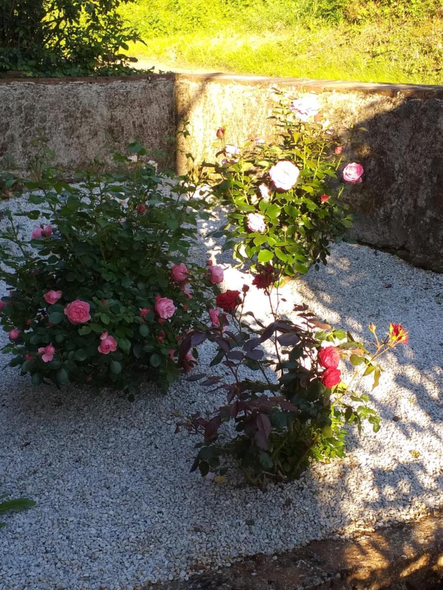 Maison Belvoir - Housity