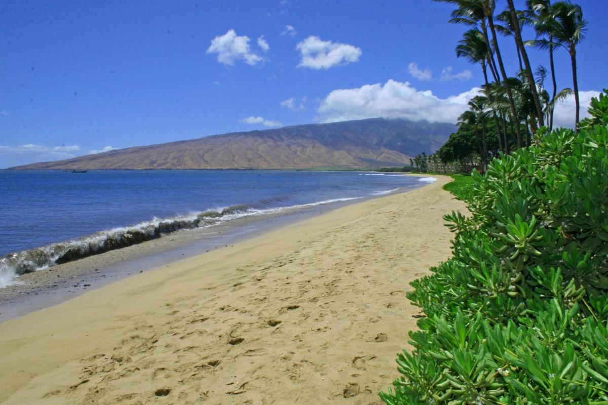 Kihei Beach #307 by Ali'i Resorts - Housity