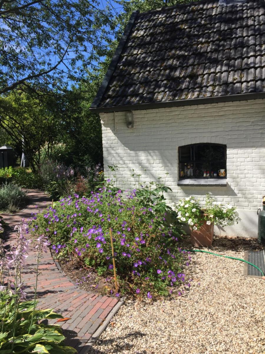 Het Buitengebied - Housity
