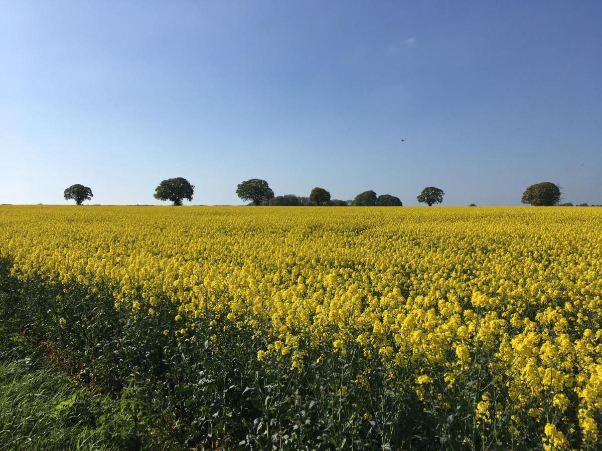 Woodcock Farm - Housity