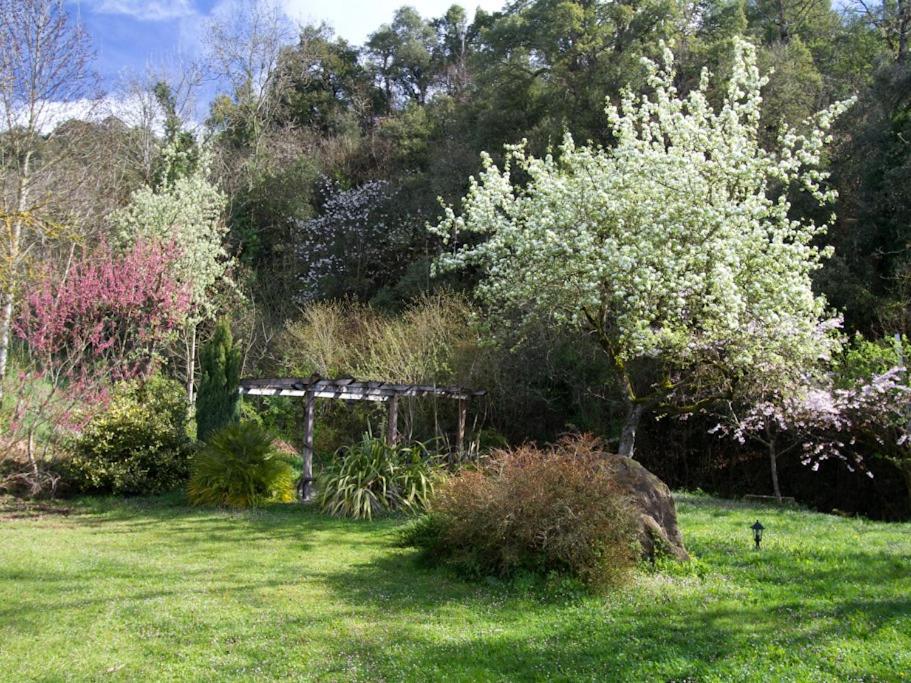 La Yosa de Arguebanes - Housity