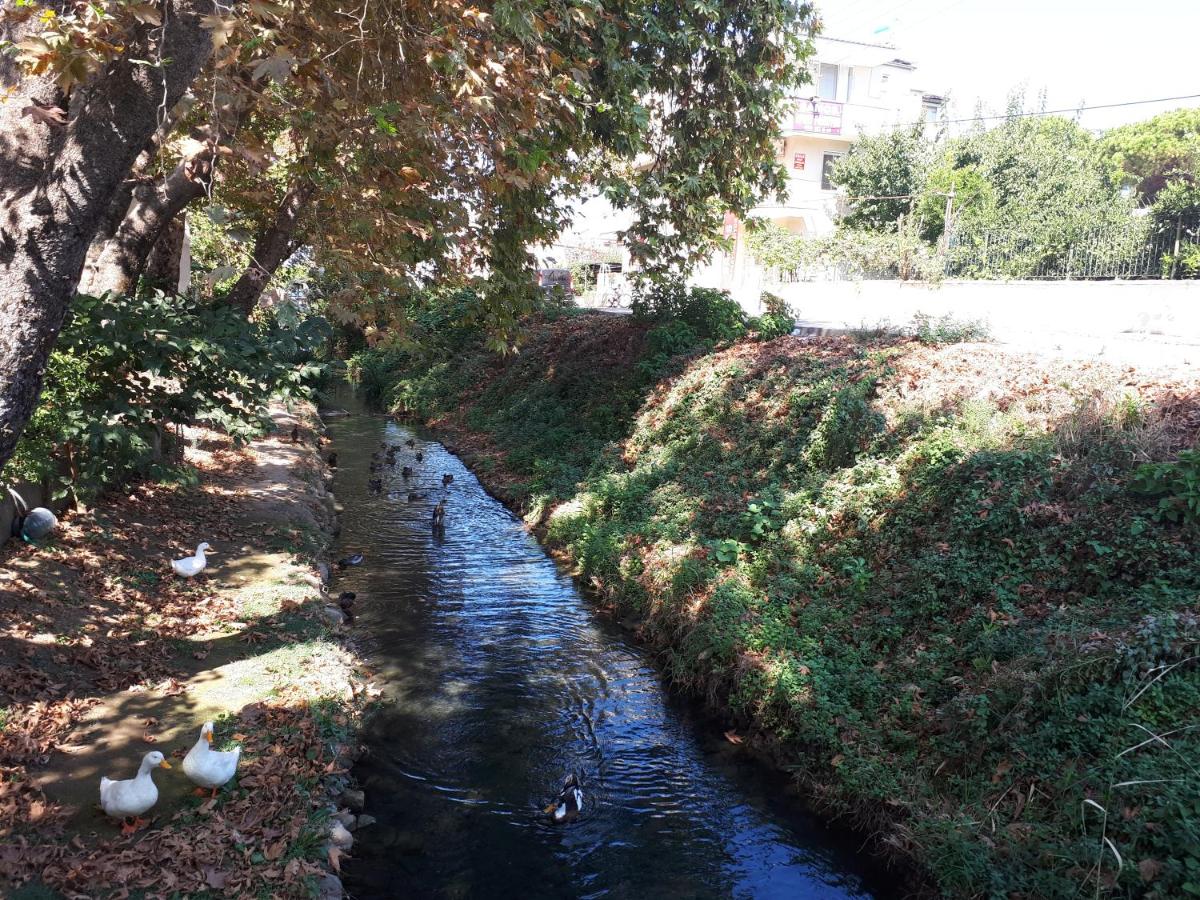 Samos Apart Pension - Housity
