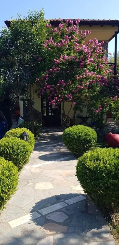 Hotel Maria - Housity