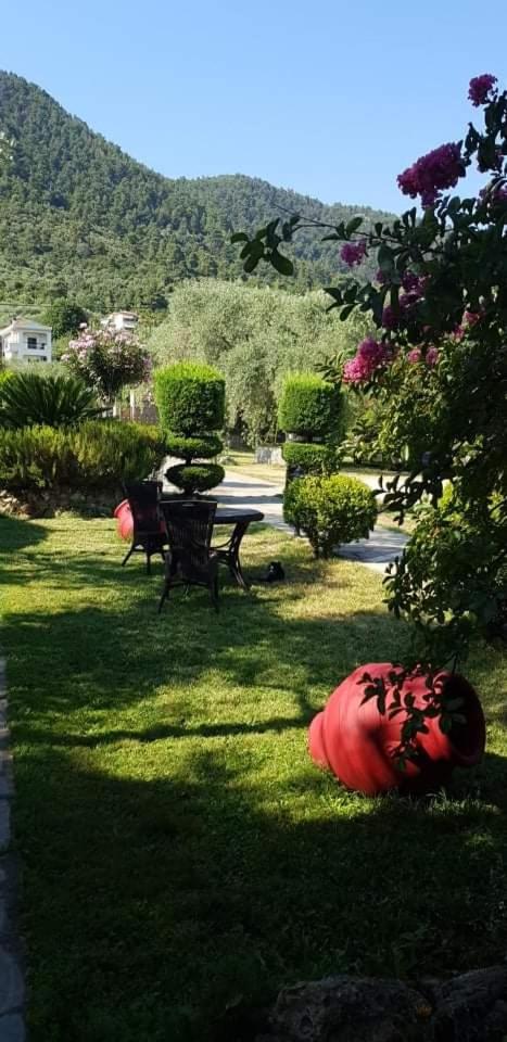 Hotel Maria - Housity