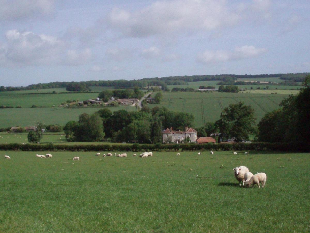 Marshwood Farm B&B and Shepherds Hut - Housity