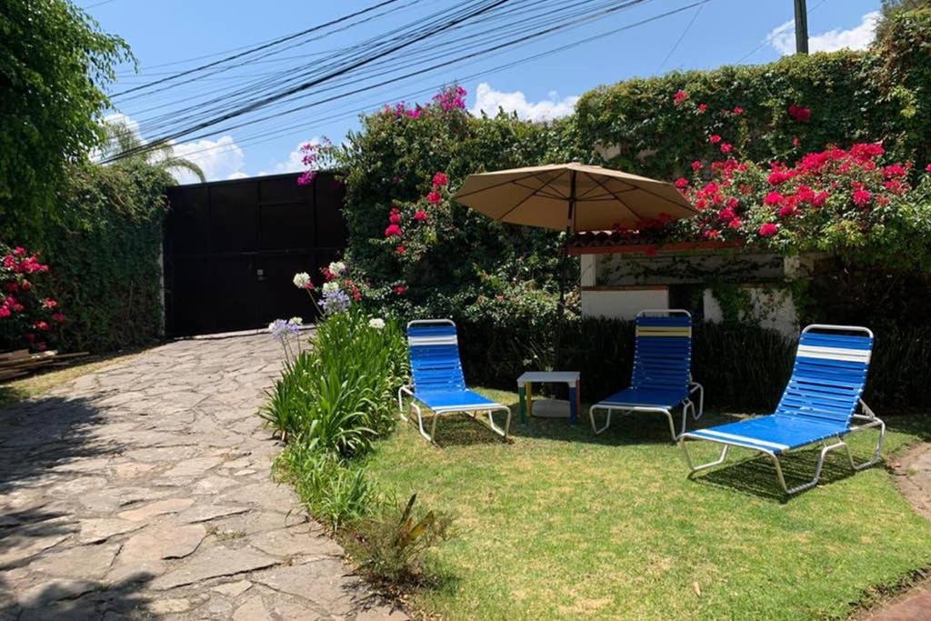 Casa BamBú VdB - Housity