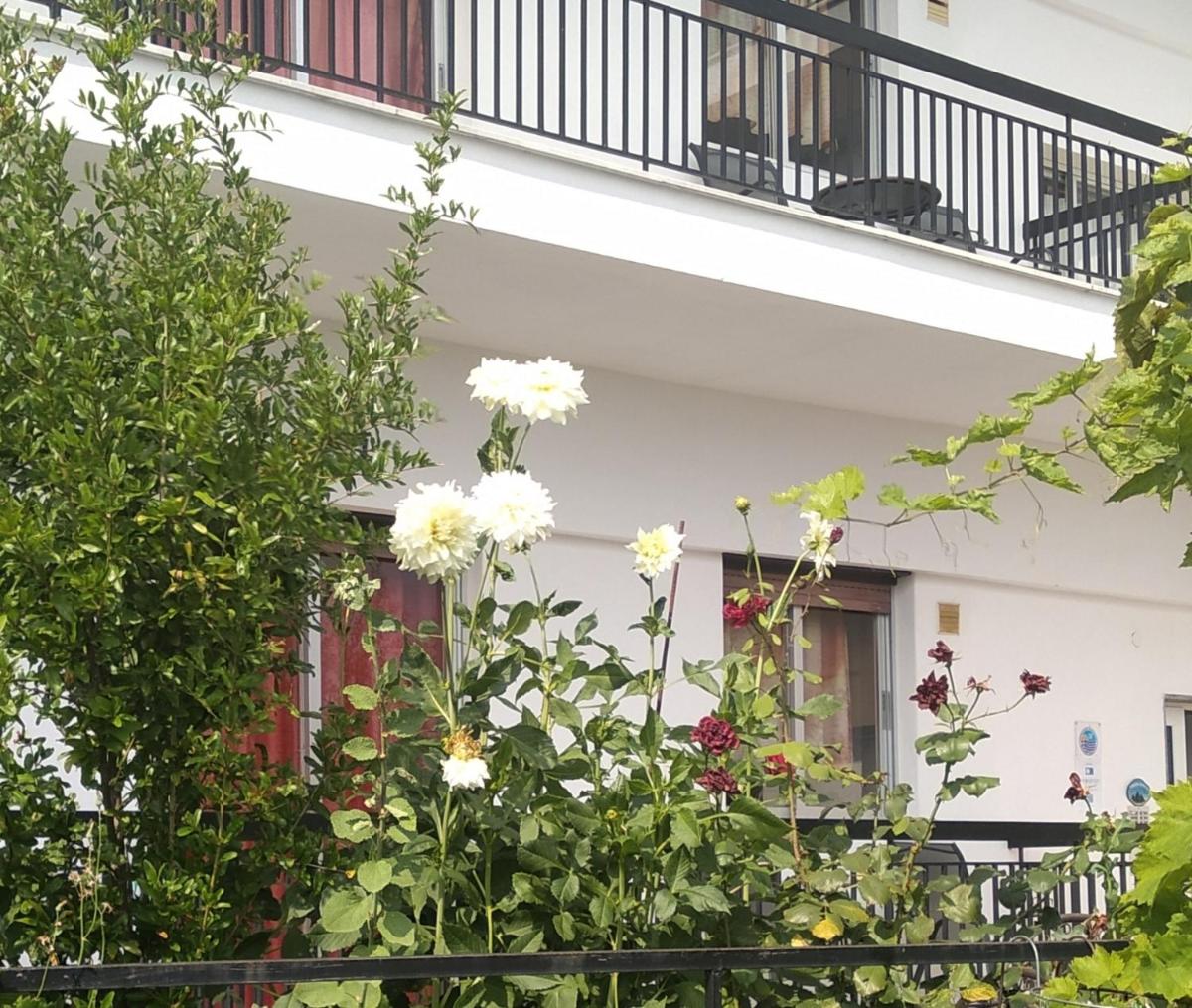 Pension Olympus - Housity