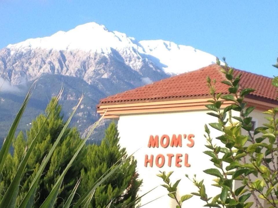 MG Moms Hotel - Housity