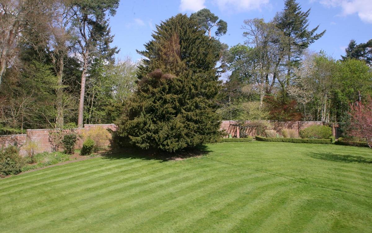 Kirklands House Melrose Bed and Breakfast - Housity