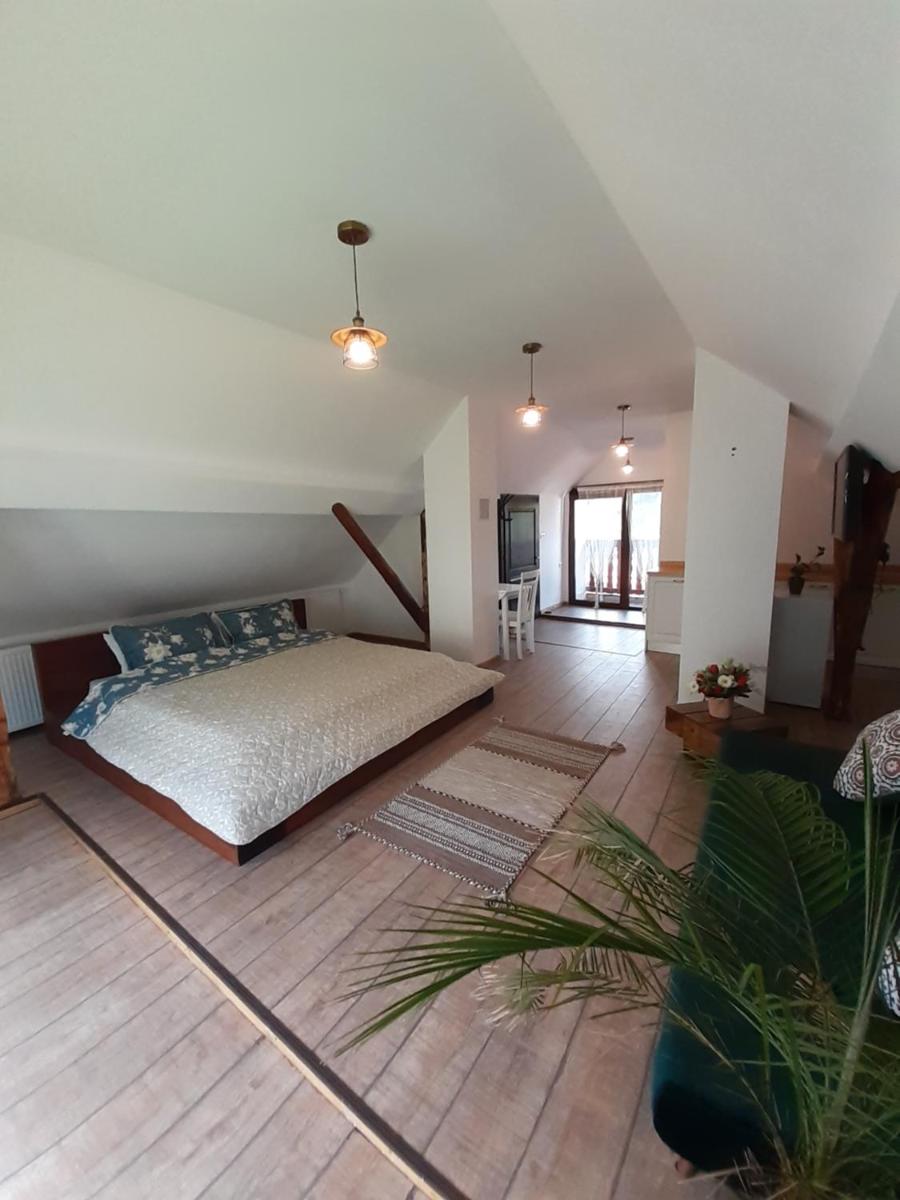 R-House - Hizvo