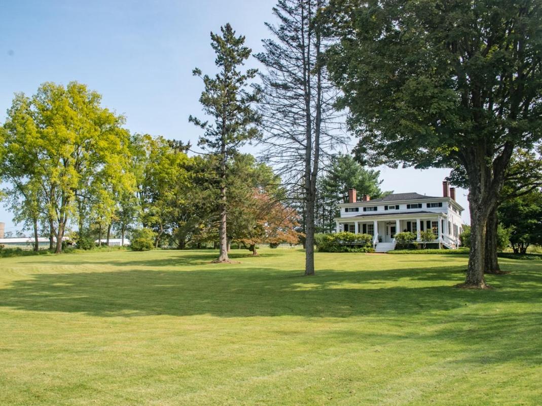 The Neighbour House B&B - Housity