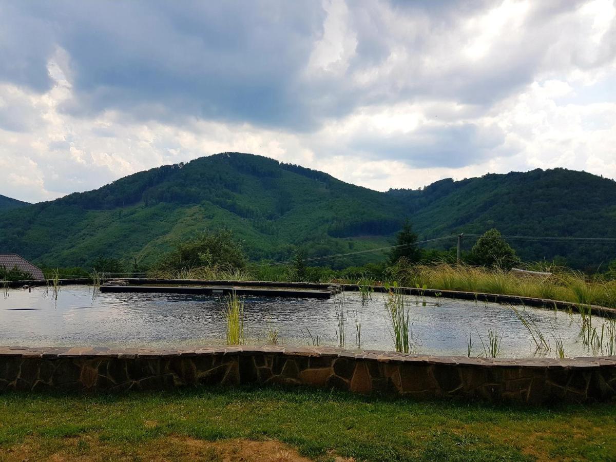 Chata VČELÁRIK - Housity