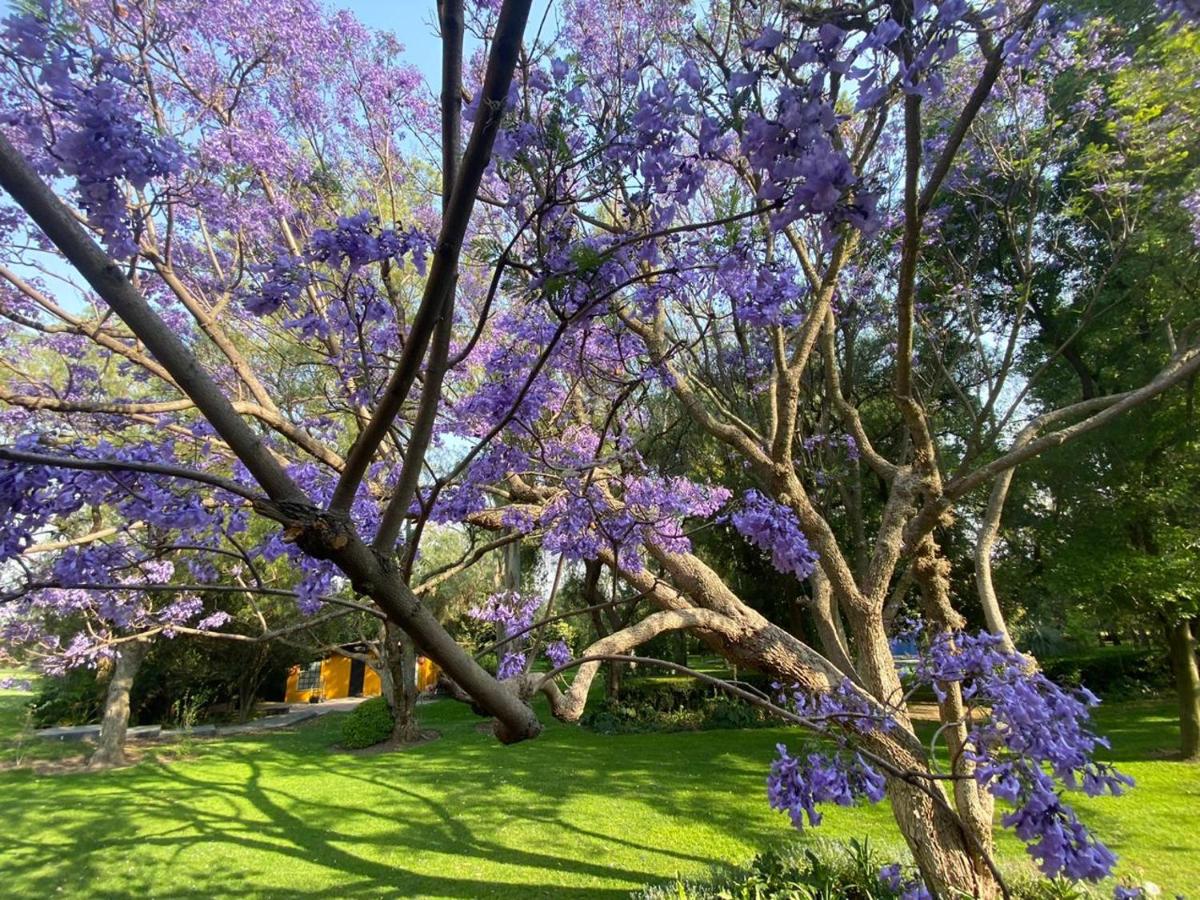 Hotel Boutique Rancho San Juan Teotihuacan - Housity