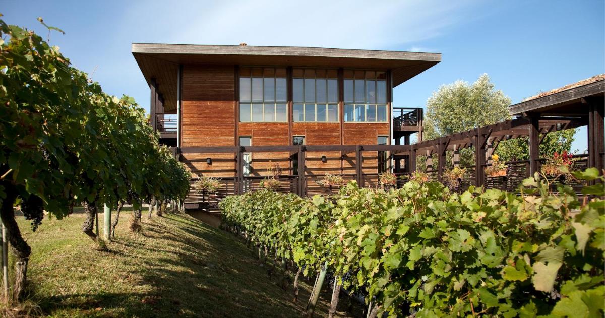 Jardin de l'établissement Résidence Les Vignes