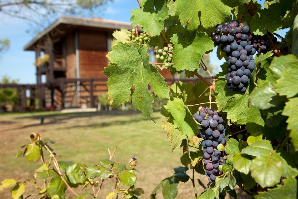 Jardin de l'établissement Résidence Les Vignes