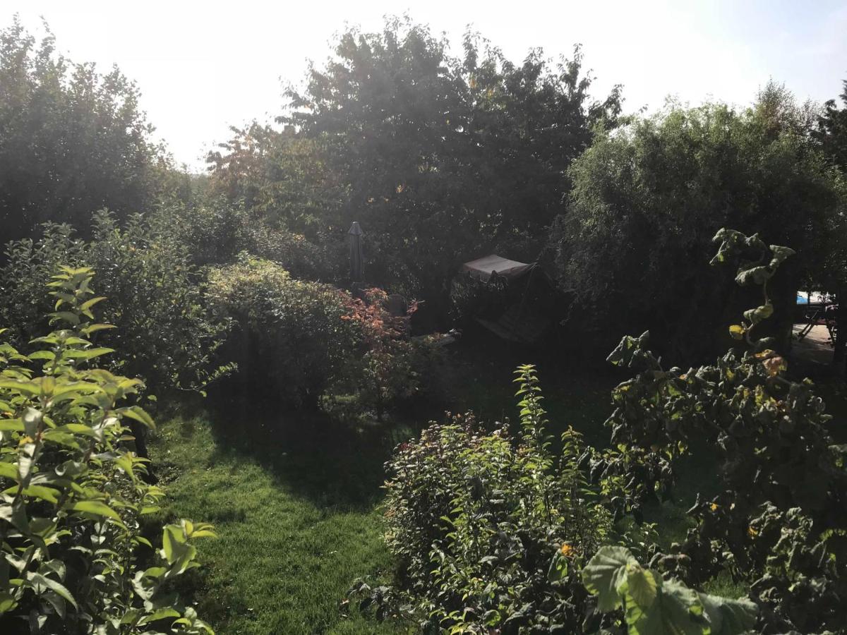 Fewo in sonniger Lage in Sagard - Housity