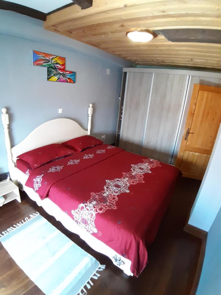 Apartament Mario - Housity