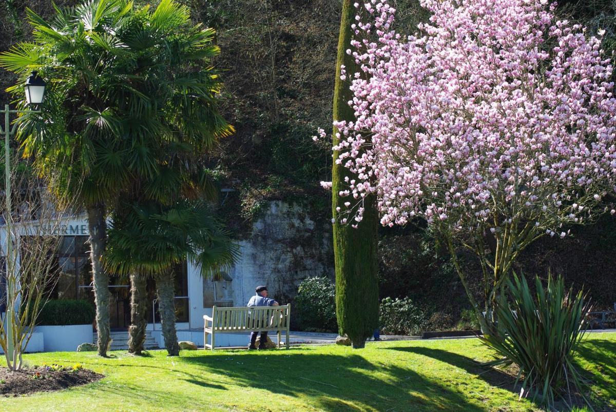 Jardin de l'établissement Résidence Les Vignes