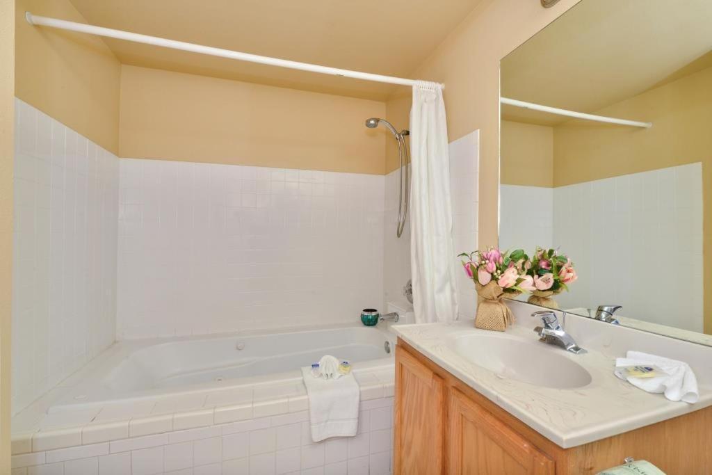 Americas Best Value Inn Lakewood South Tacoma - Housity