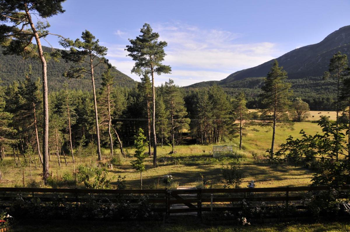 Le Bois Fae - Chalet - Housity
