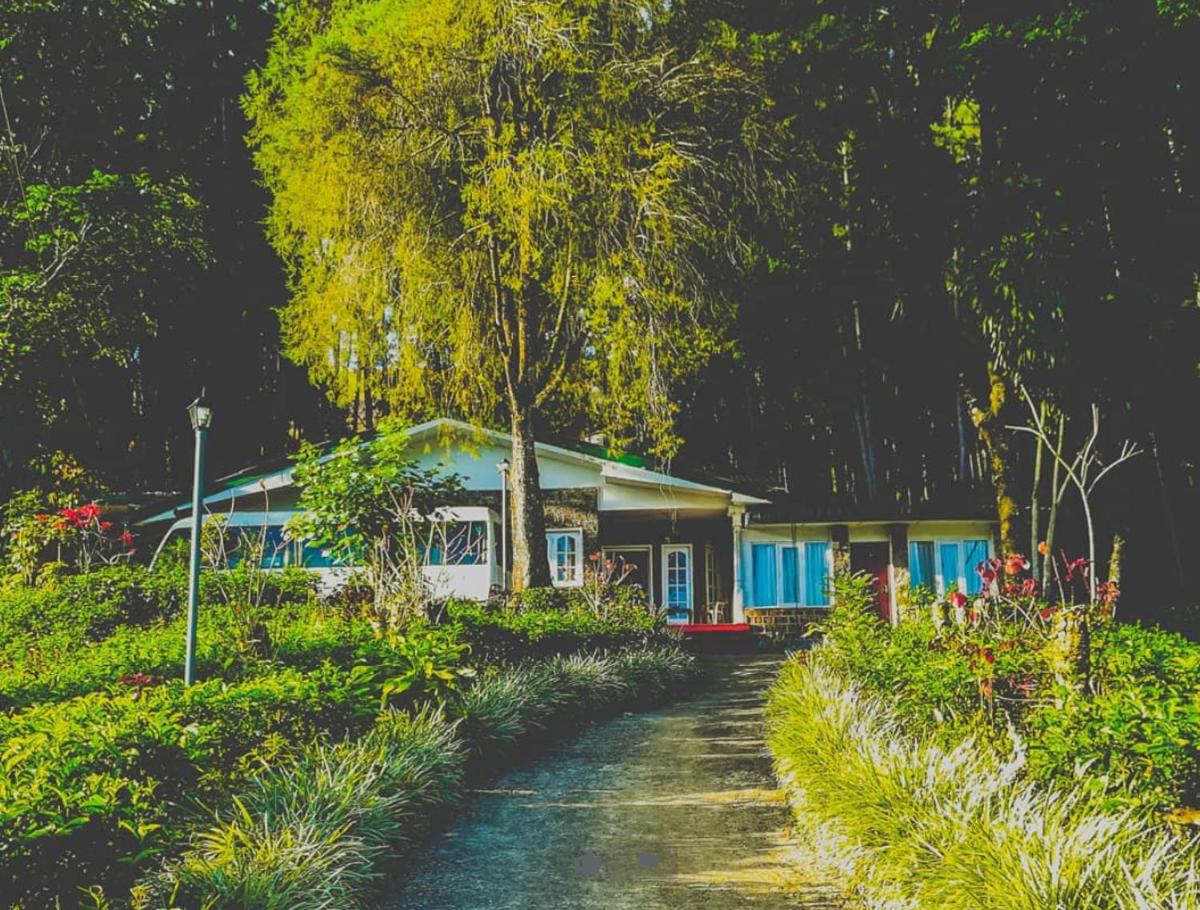 Greendale Holiday Bungalow - Housity