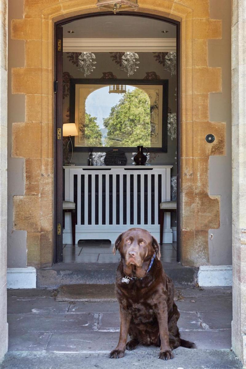 The Den at Backwell Down - Housity